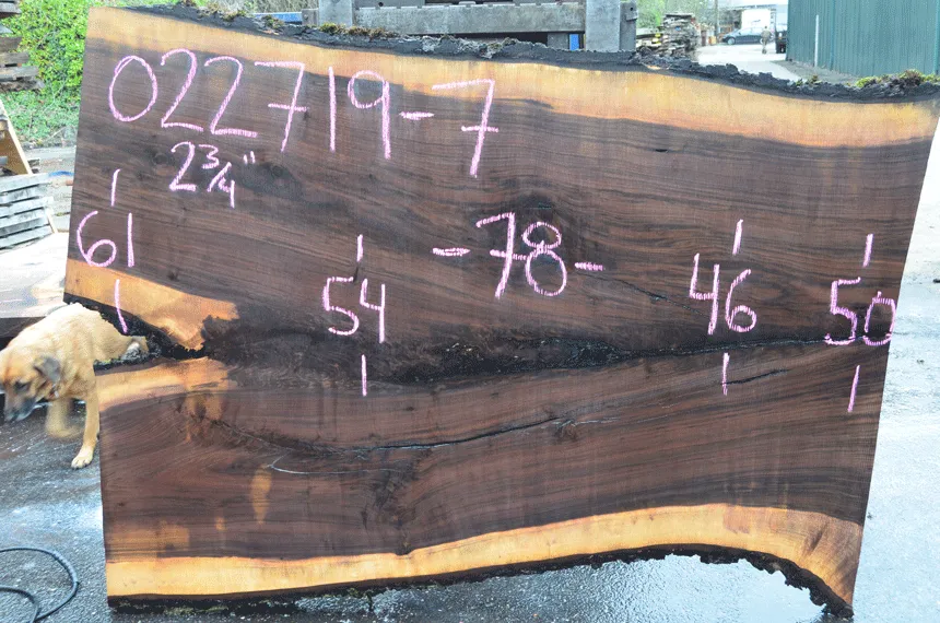 022719-07 Oregon Black Walnut Slab