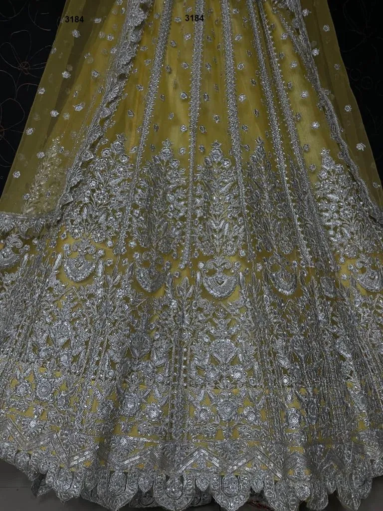 Beautiful and Classy Heavy Embroidered Lehenga Set - Rent