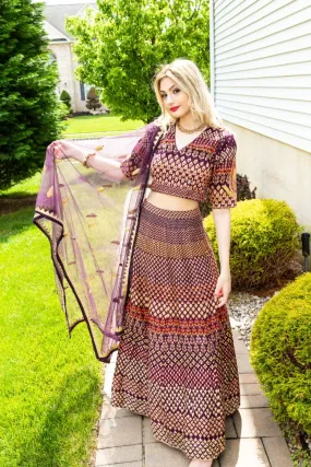 Brown Color Thread Embroidery Silk Lehenga - Rent