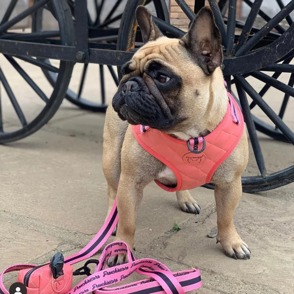 Frenchiestore Dog Luxury Leash | Coral Varsity