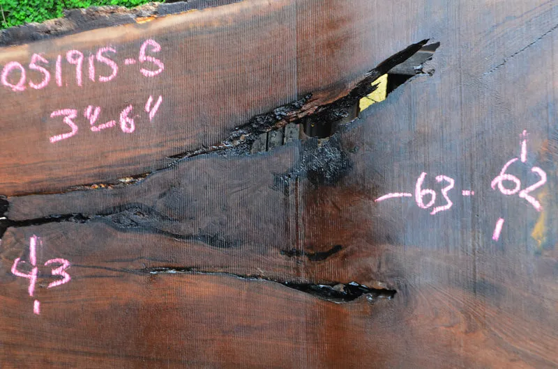 Oregon Black Walnut Slab 051915-05