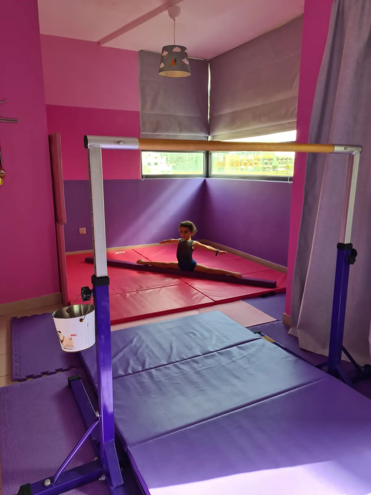 Simple Training Horizontal Bar - Pink